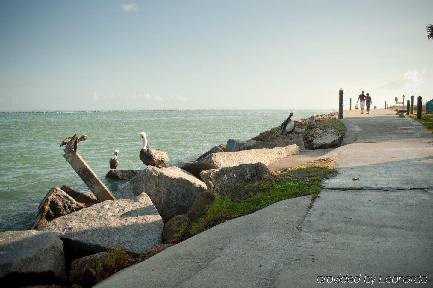 Royal Inn Beach Hutchinson Island Fort Pierce Exterior foto